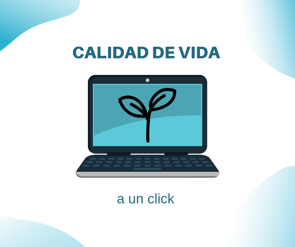 Calidad de vida 